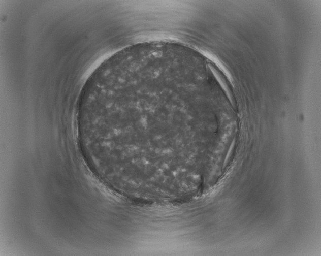 X0000077290983200611171623