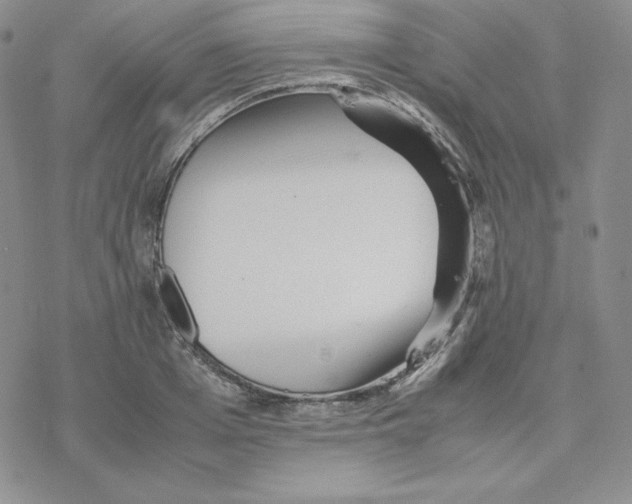 X0000077290985200611171623