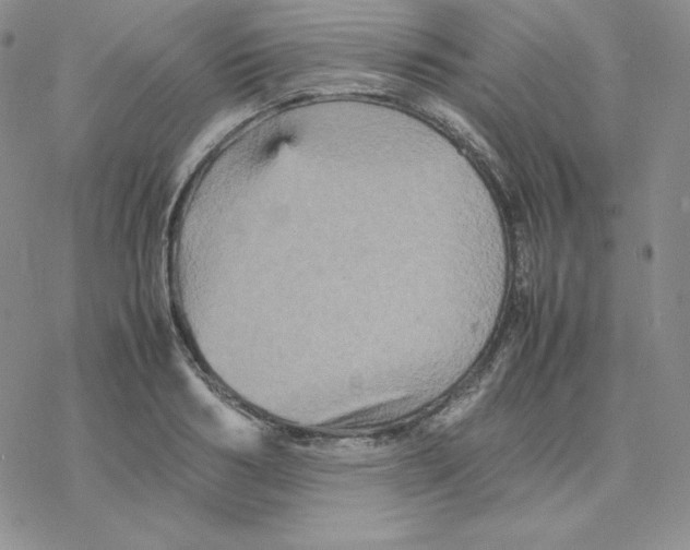 X0000077290986200611171623