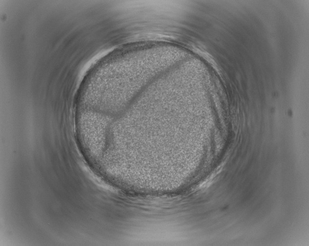 X0000077290987200611171623