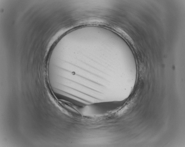 X0000077290989200611171623