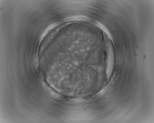 X0000077290994200611171623