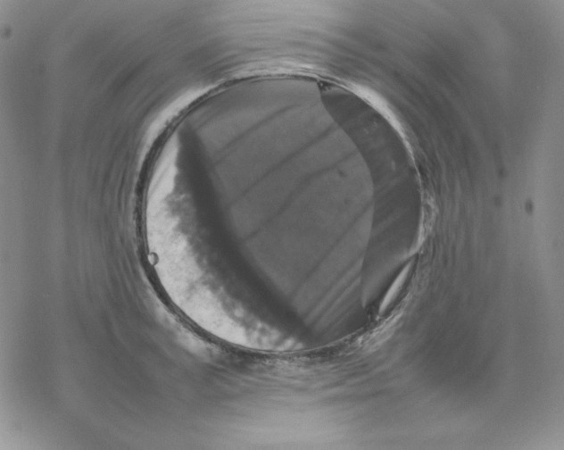 X0000077290995200611171623