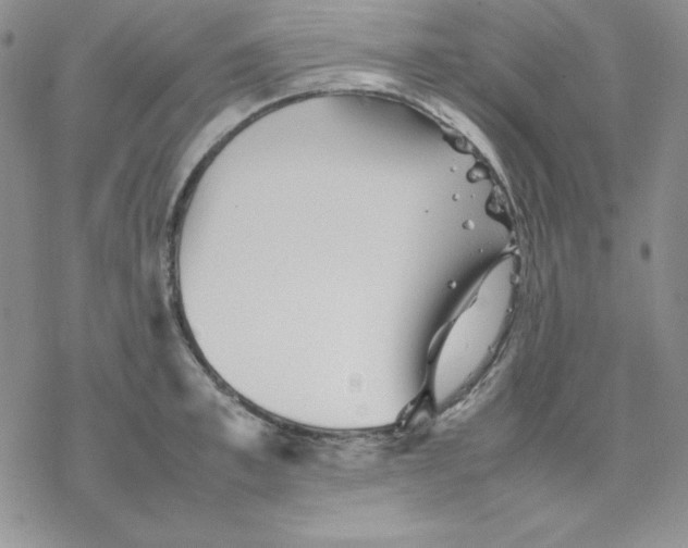 X0000077290997200611171623