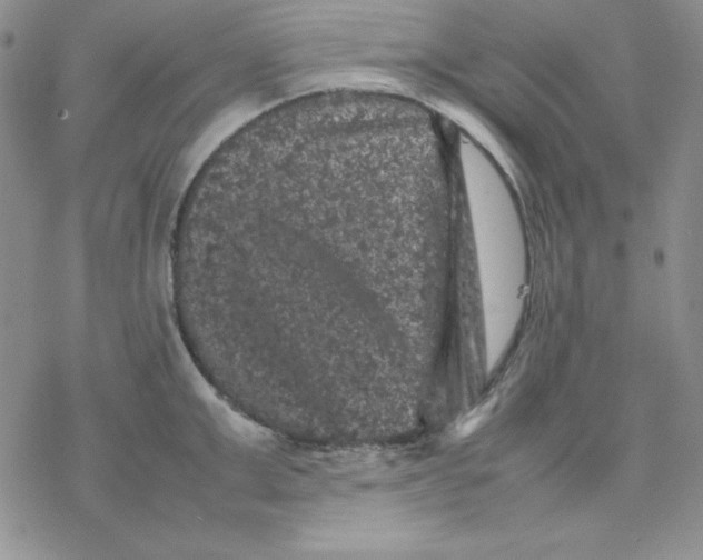 X0000077290999200611171622