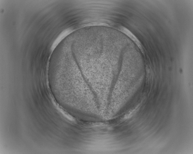 X0000077291002200611171622