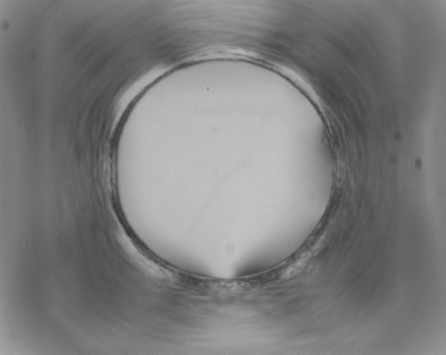 X0000077291003200611171622