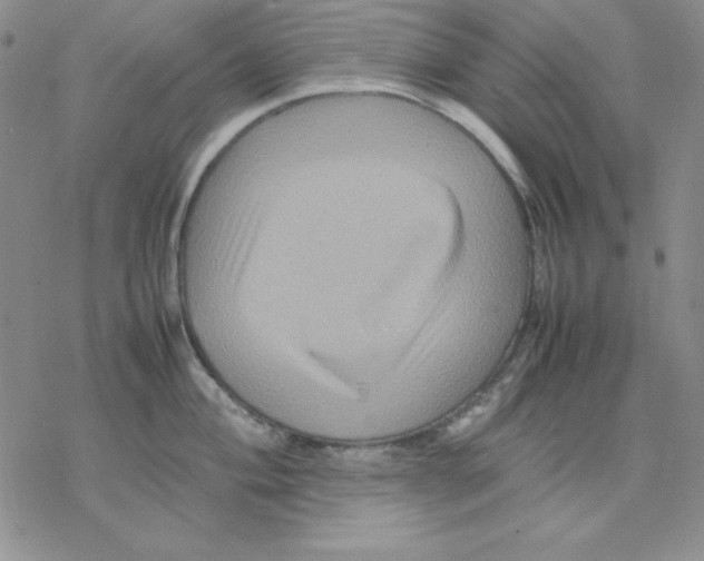 X0000077291004200611171622