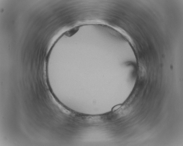 X0000077291006200611171622