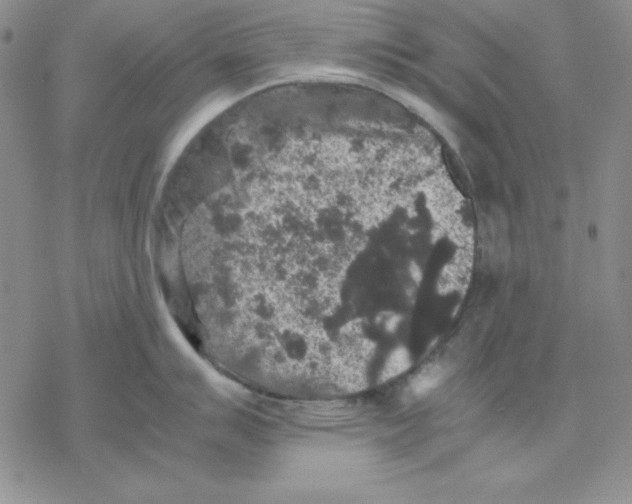 X0000077291007200611171622