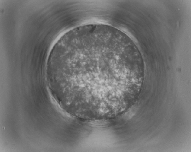 X0000077291008200611171622