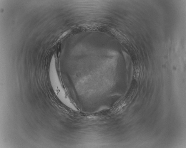 X0000077291010200611171622