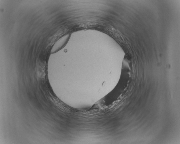 X0000077291012200611171622