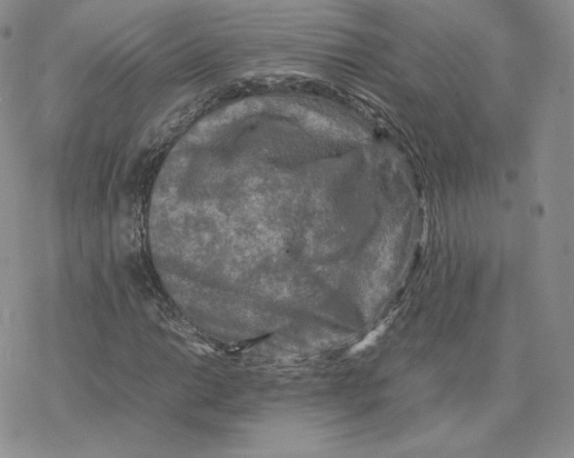 X0000077291014200611171622