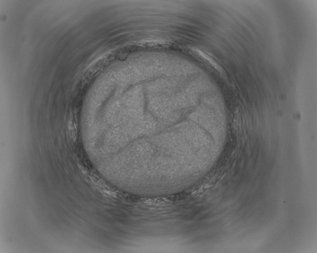 X0000077291015200611171622