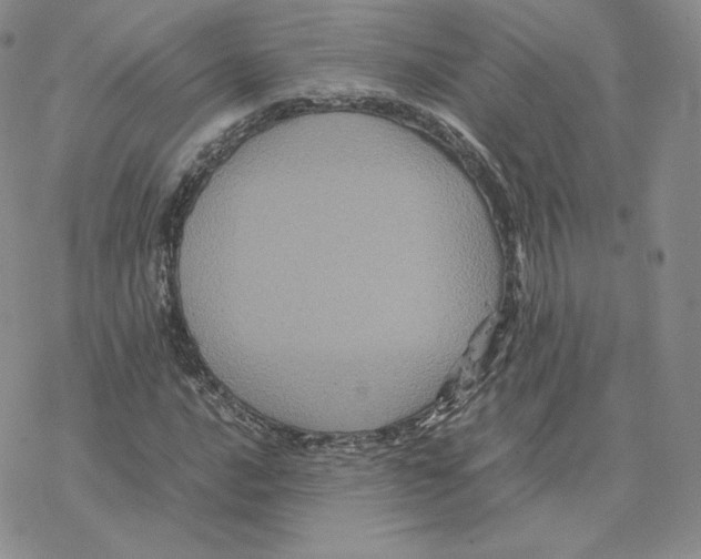 X0000077291016200611171622