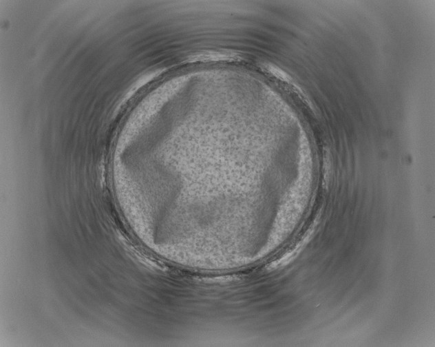 X0000077291017200611171622