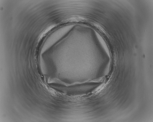 X0000077291018200611171622