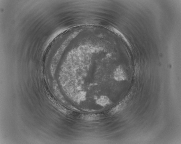 X0000077291019200611171622