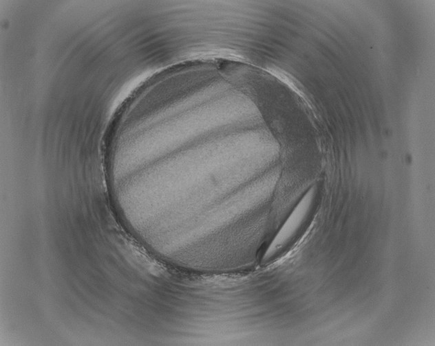 X0000077291022200611171622