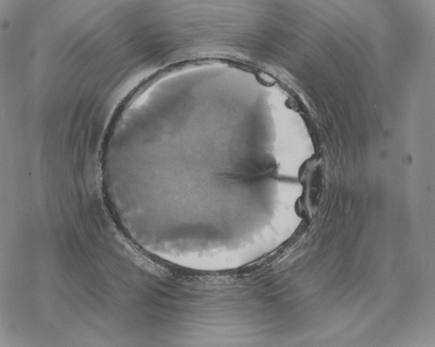 X0000077291024200611171622