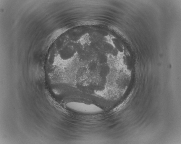 X0000077291025200611171622