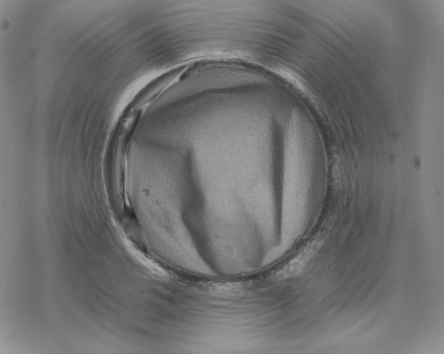 X0000077291030200611171622