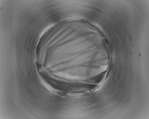 X0000077291034200611171622