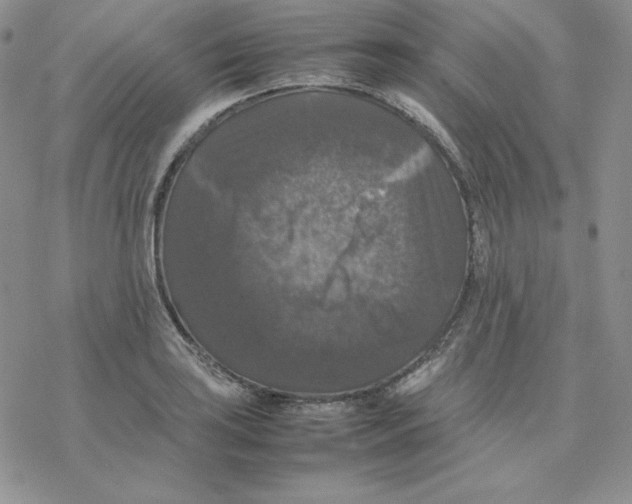 X0000077291035200611171622