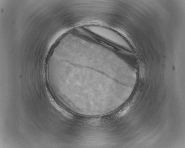 X0000077291038200611171622