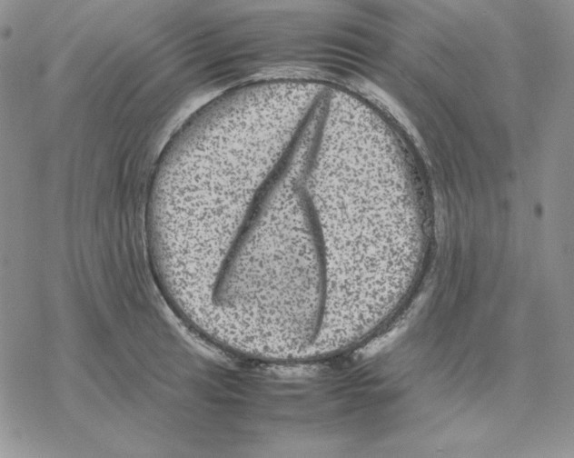 X0000077291041200611171622