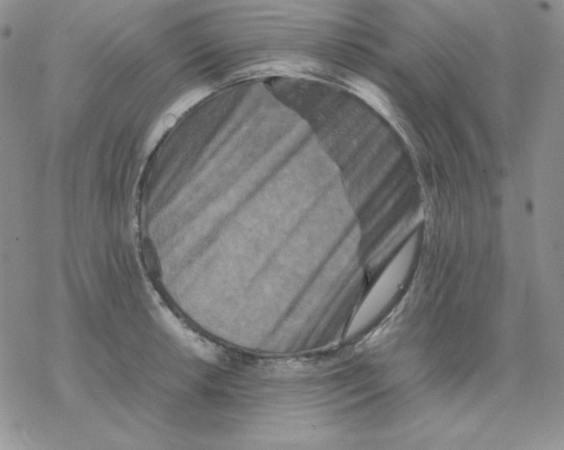 X0000077291042200611171622