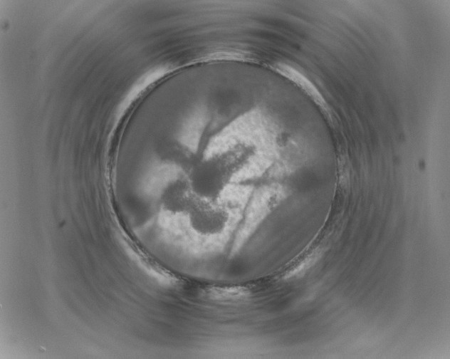 X0000077291043200611171622