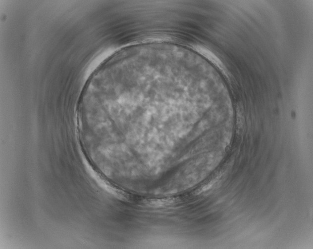 X0000077291047200611171622