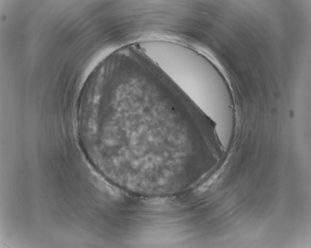 X0000077291048200611171622