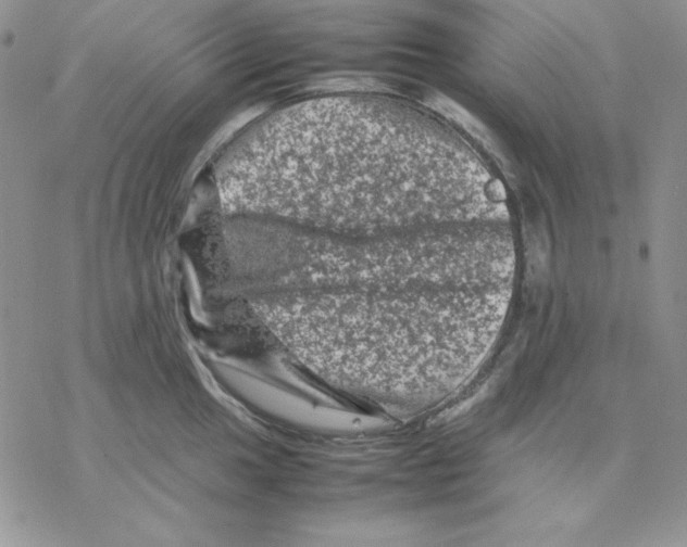 X0000077291049200611171622