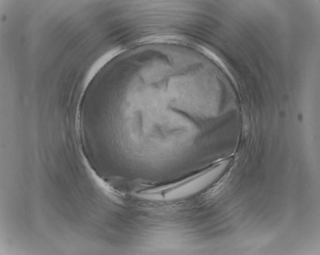 X0000077291050200611171622