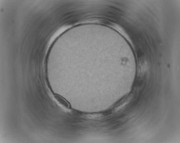 X0000077291053200611171622