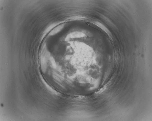 X0000077291055200611171622