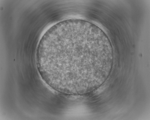 X0000077291056200611171622