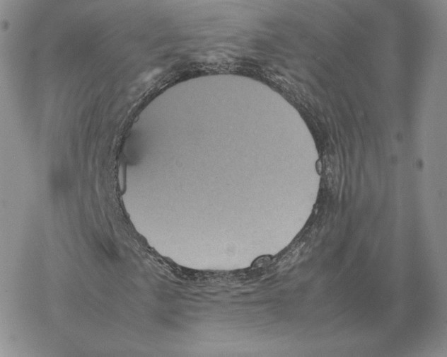 X0000077291057200611171622