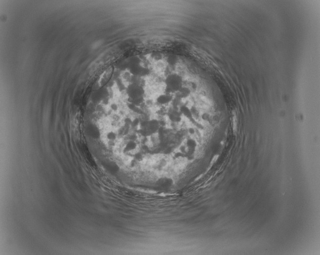 X0000077291059200611171621