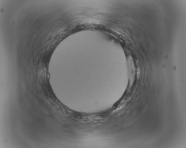 X0000077291061200611171621