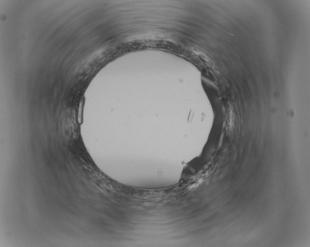 X0000077291062200611171621