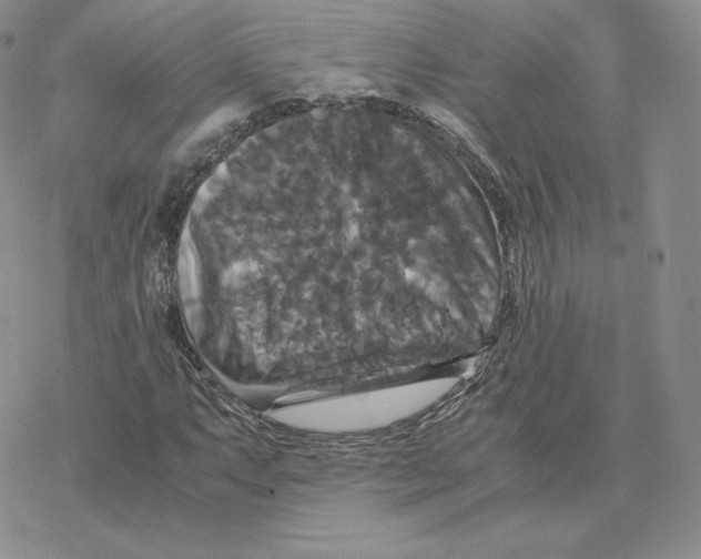 X0000077291063200611171621