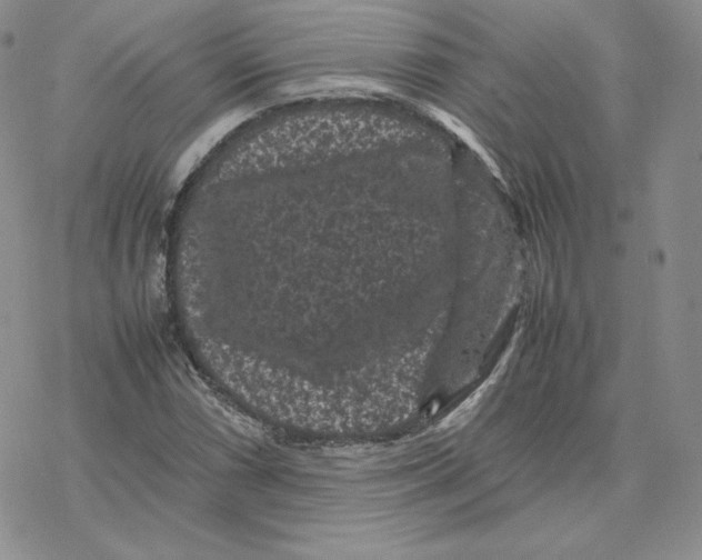 X0000077291066200611171621