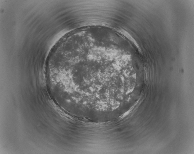 X0000077291068200611171621