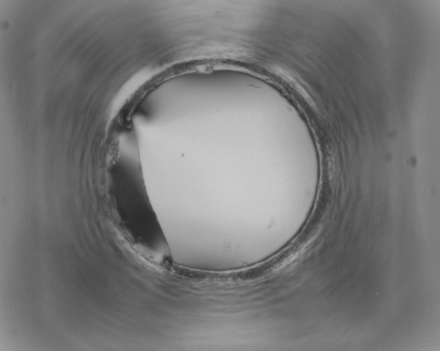 X0000077291069200611171621