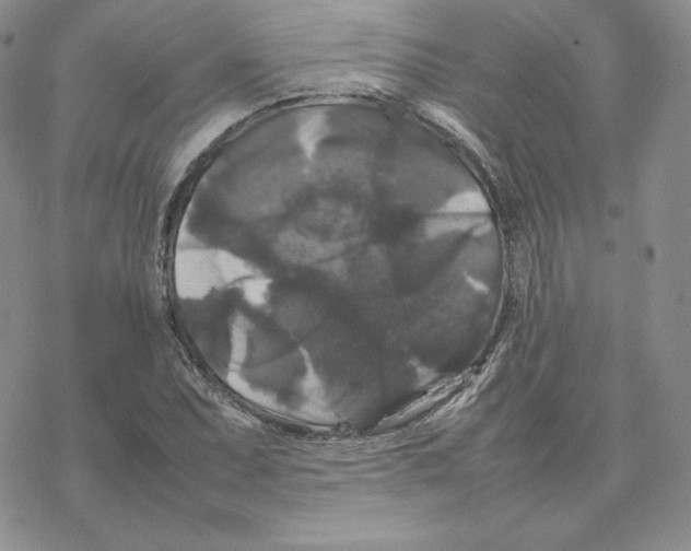 X0000077291071200611171621