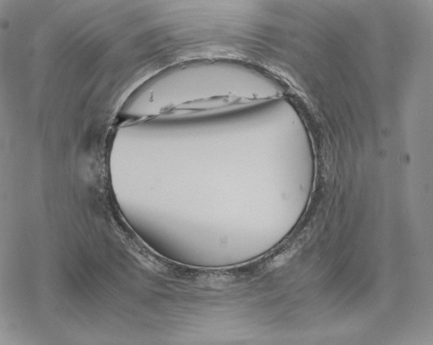 X0000077291073200611171621